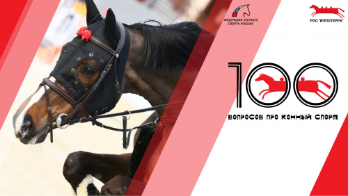  ФКСР представляет образовательный проект «100 вопросов про конный спорт!» 