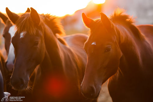  � ������ ������ ����� 