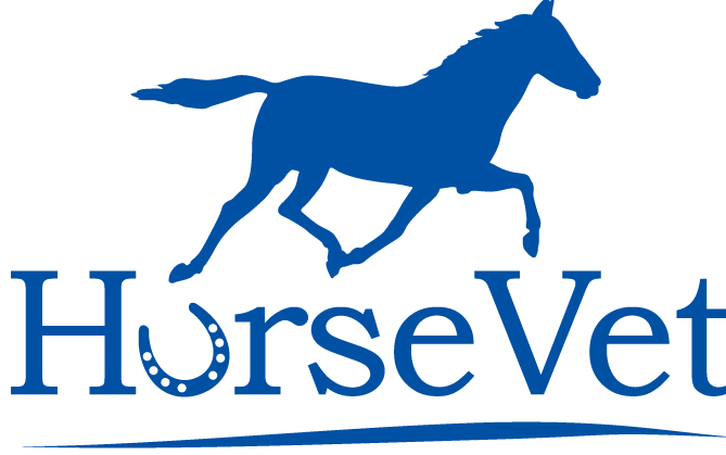   horse vet
